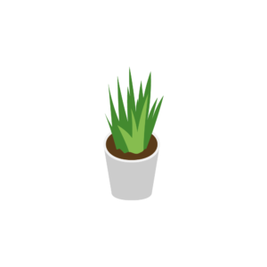 卓上の観葉植物のアイソメトリックイラスト