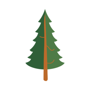 高い木のアイソメトリックイラスト