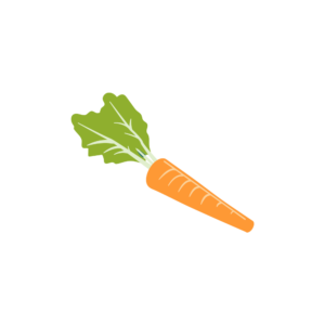 人参のアイソメトリックイラスト