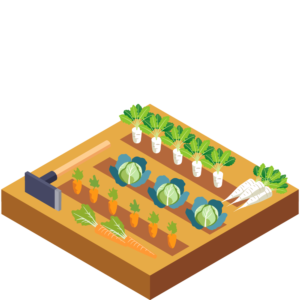 野菜畑のアイソメトリックイラスト