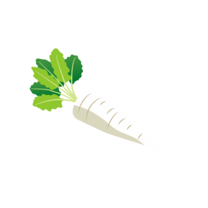 大根のアイソメトリックイラスト