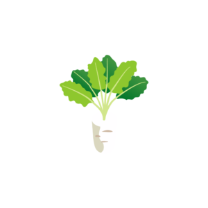 埋まった大根のアイソメトリックイラスト、土なし