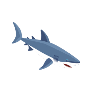 鮫のアイソメトリックイラスト