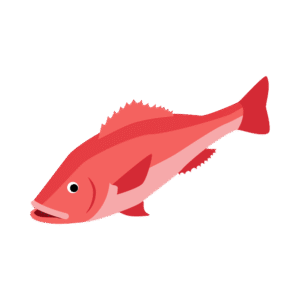 魚の鯛のアイソメトリックイラスト