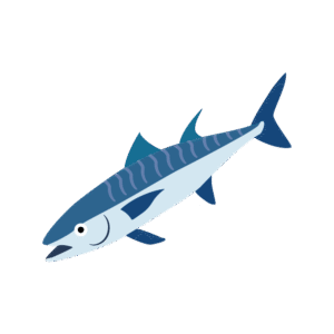 魚の鯖のアイソメトリックイラスト