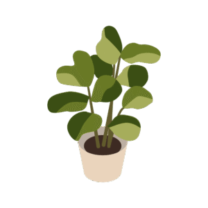 ベージュの鉢に入った葉っぱが大きい観葉植物のアイソメトリックイラスト