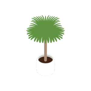 白い鉢に入った背の高い観葉植物のアイソメトリックイラスト