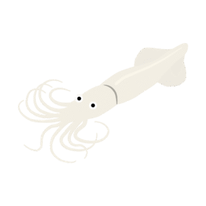 イカのアイソメトリックイラスト