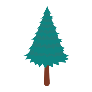 もみの木のアイソメトリックイラスト